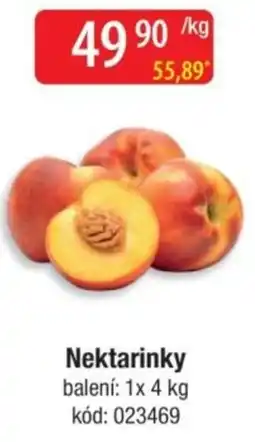 Qanto Nektarinky nabídka