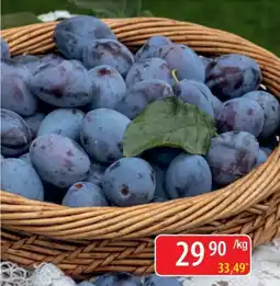 Qanto hrušky nabídka