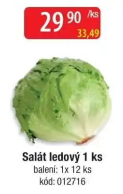 Qanto Salát ledový nabídka