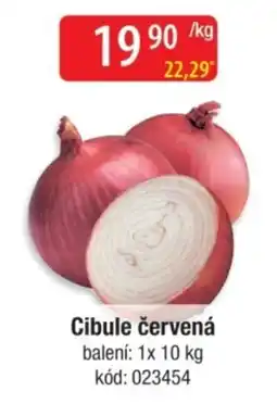 Qanto Cibule červená nabídka