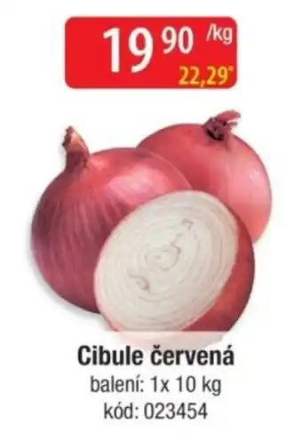 Cibule červená