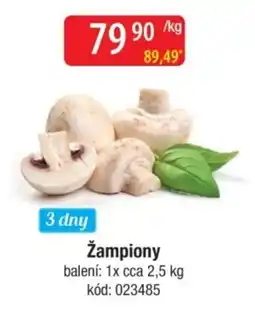 Qanto Žampiony nabídka