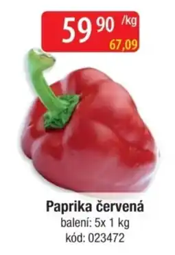 Qanto Paprika červená nabídka