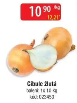 Qanto Cibule žlutá nabídka