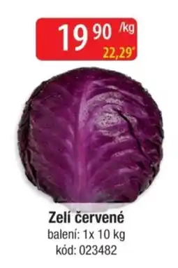 Qanto Zelí červené nabídka