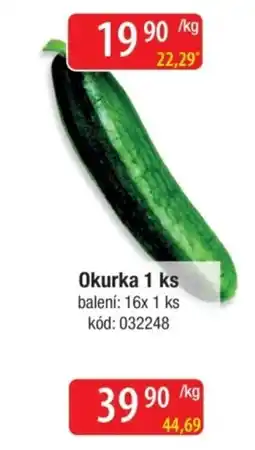 Qanto Okurka nabídka