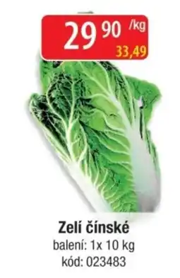 Qanto Zelí čínské nabídka