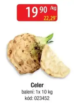 Qanto Celer nabídka