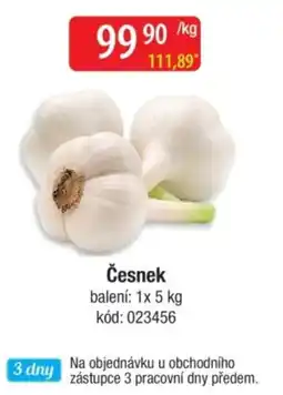 Qanto Česnek nabídka
