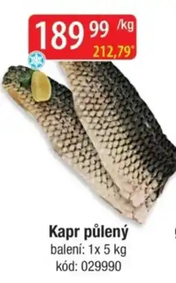 Qanto Kapr půlený nabídka