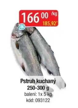 Qanto Pstruh kuchaný nabídka
