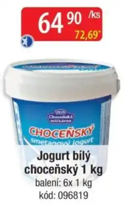 Qanto Chocenšký jogurt bílý nabídka