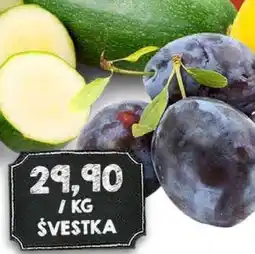 Jip ŠVESTKA nabídka