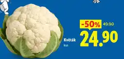 Lidl Květák nabídka