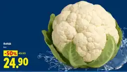 Lidl Květák nabídka