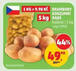 Penny Market Brambory konzumní rané nabídka