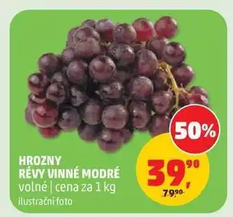 Penny Market HROZNY RÉVY VINNÉ MODRÉ nabídka