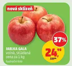 Penny Market JABLKA GALA nabídka