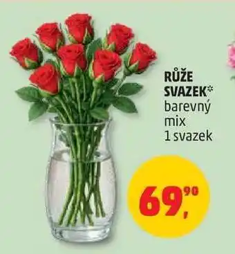 Penny Market Růže svazek nabídka