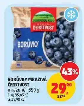 BORŮVKY MRAZIVÁ ČERSTVOST