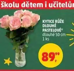 Penny Market Kytice růže dlouhé pastelové nabídka