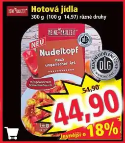 Norma Nudeltopf nach ungarischer Art nabídka