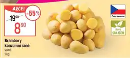 Globus Brambory konzumní rané nabídka