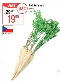 Globus Petržel s natí nabídka