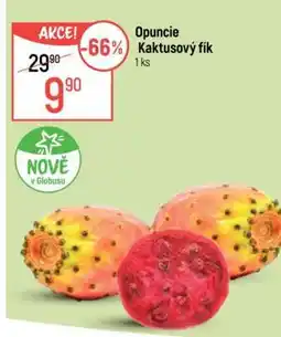 Globus Opuncie Kaktusový fík nabídka