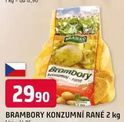 Trefa BRAMBORY KONZUMNÍ RANÉ nabídka