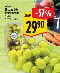 Albert Albert Hrozny bílé bezsemenné nabídka