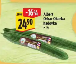 Albert Albert Oskar Okurka hadovka 1ks nabídka