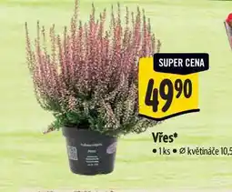 Albert Vřes, pr. květináče 10,5 nabídka