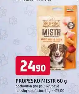 Trefa PROPESKO MISTR 60 g pochoutka pro psy nabídka