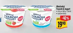 Albert Jihočeský Tvaroh & Jogurt nabídka