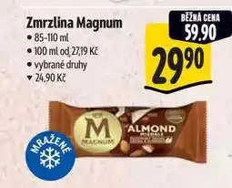 Albert Zmrzlina Magnum nabídka