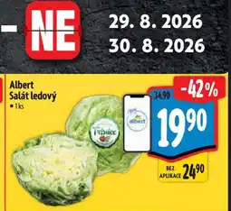 Albert Albert Salát ledový 1ks nabídka