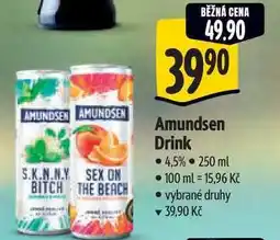 Albert Amundsen Drink 4,5% nabídka