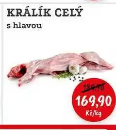 RABBIT řeznictví KRÁLÍK CELÝ s hlavou nabídka