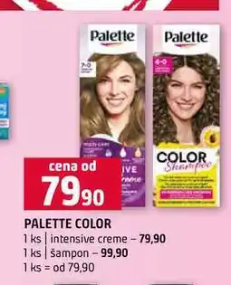 Terno PALETTE COLOR 1 ks intensive creme 1 ks šampon nabídka