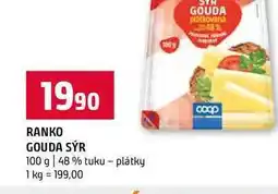 Terno RANKO GOUDA SÝR 100 g 48 % tuku plátky nabídka