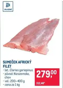 Makro Sumeček africký filet nabídka