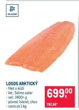 Makro Losos arktický nabídka