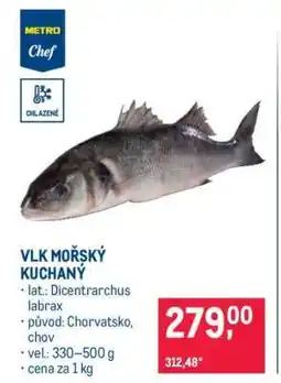 Makro Vlk mořský kuchaný nabídka
