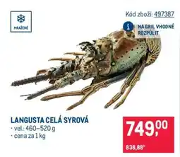 Makro LANGUSTA CELÁ SYROVÁ nabídka
