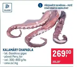 Makro Kalamáry chapadla nabídka