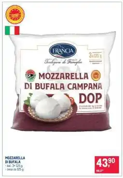 Makro Mozzarella di Bufala nabídka