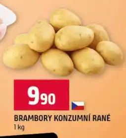 Terno Brambory konzumní rané nabídka