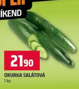 Terno OKURKA SALÁTOVÁ nabídka