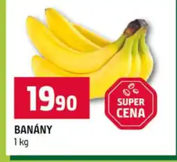 Terno Banány nabídka